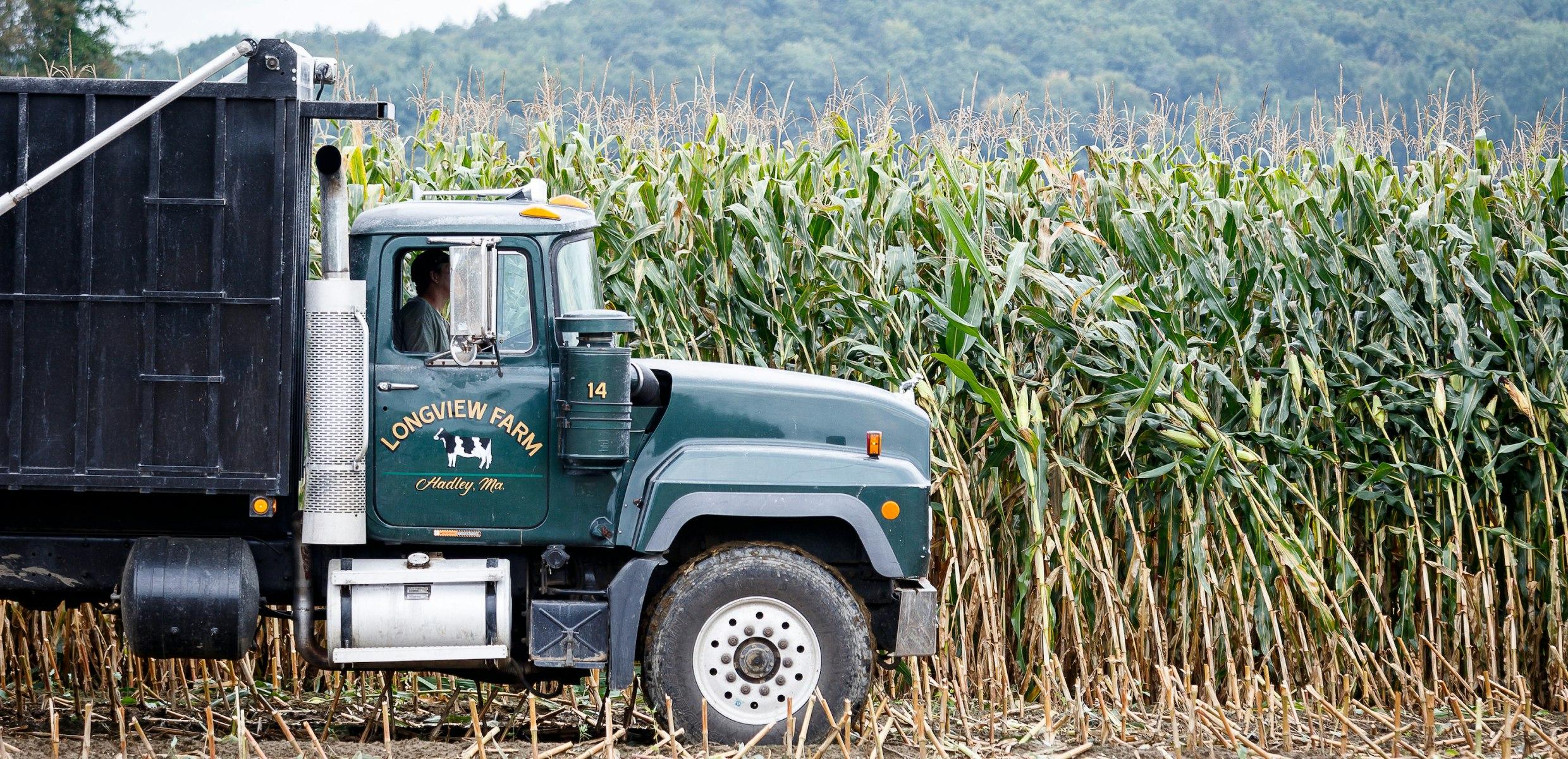 Truck with Longview Farm logo on a sustainably managed cornfield