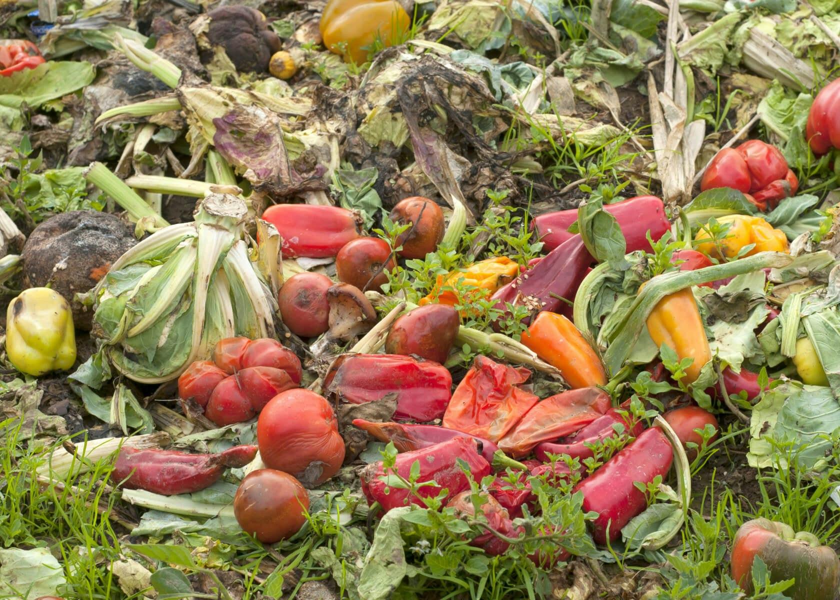 Food waste as part of organic waste recycling to create renewable energy