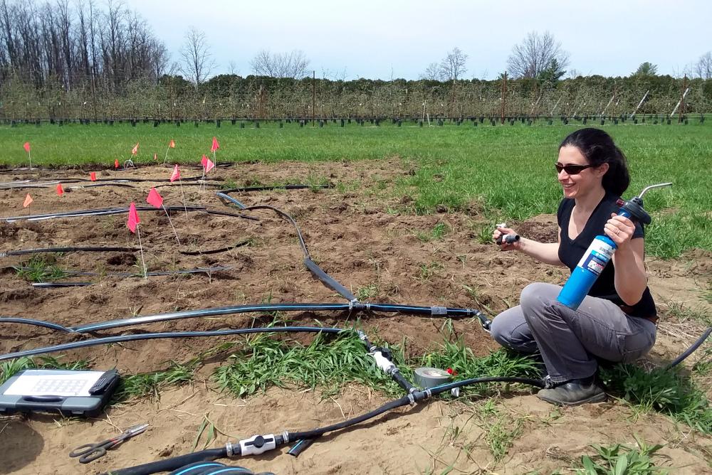 Dr. Rachel Schattman sets up irrigation field trials for a SARE-funded research project to see how crop yield, quality and nutrient run-off is affected by different irrigation practices | Image credit: USDA